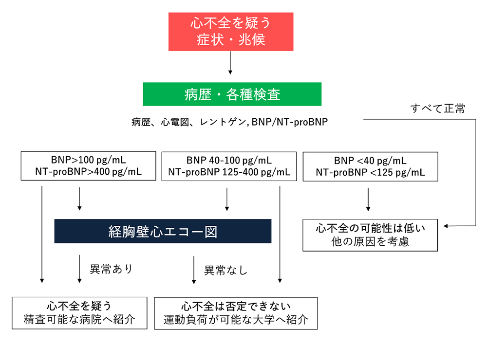 診断アプローチ